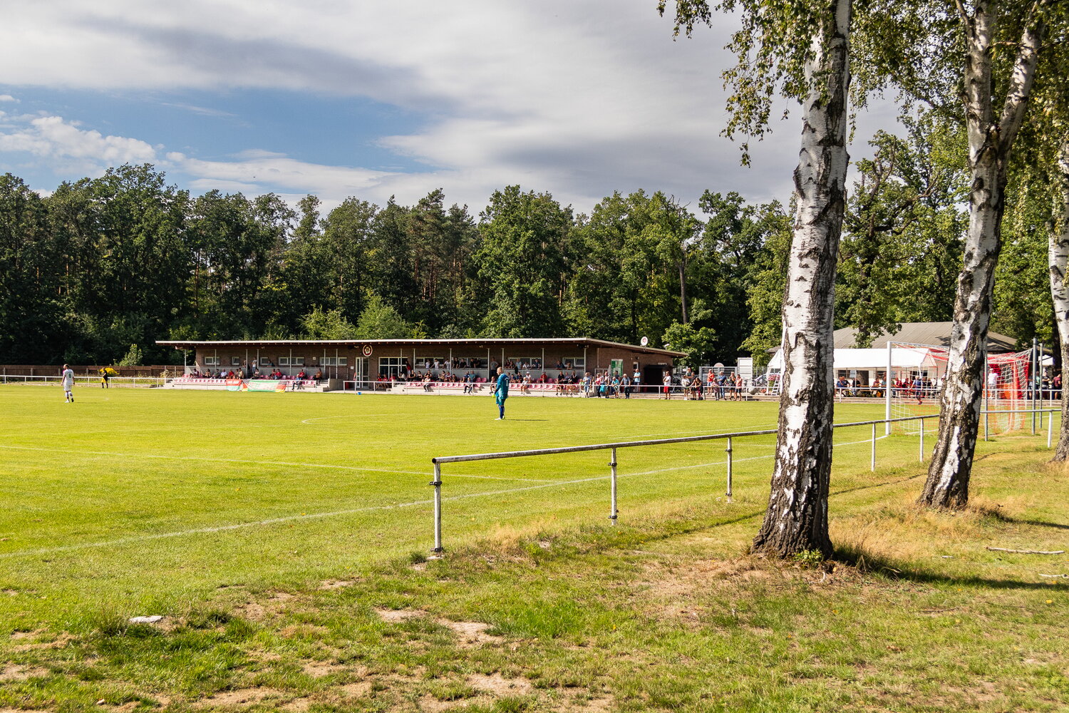 SV Naunhof – FSV Limbach-Oberfrohna – Bild 41