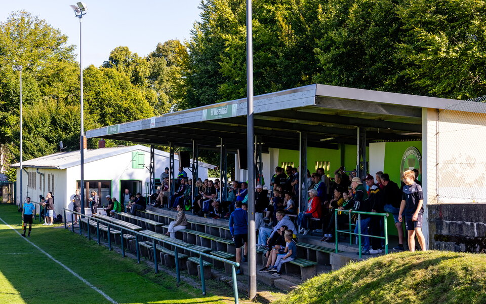 SV Wesenitztal 03 – Reichenbacher FC