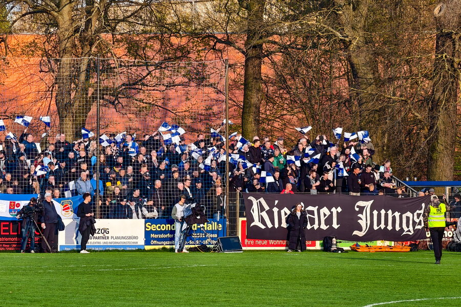 BSG Stahl Riesa – FSV Zwickau – Bild 3