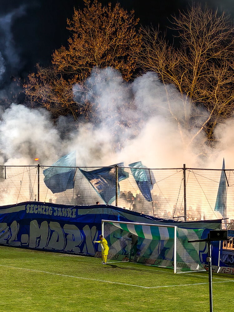BSG Chemie Leipzig – Chemnitzer FC – Bild 13