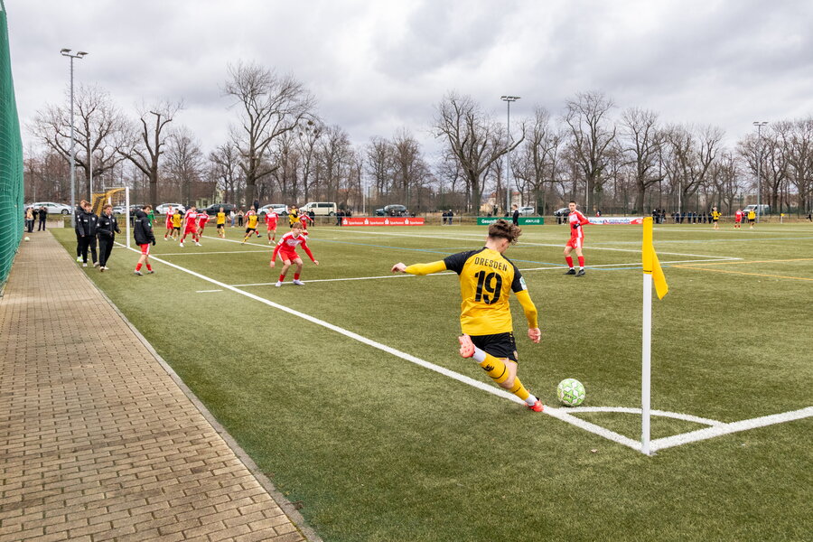 SG Dynamo Dresden U19 – Hallescher FC U19 – Bild 15