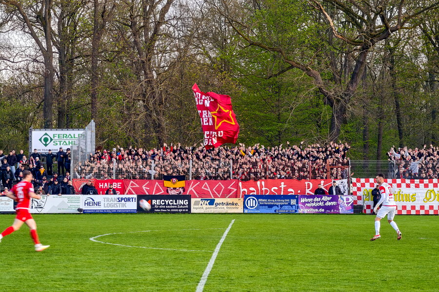 BSG Stahl Riesa – FSV Zwickau – Bild 5