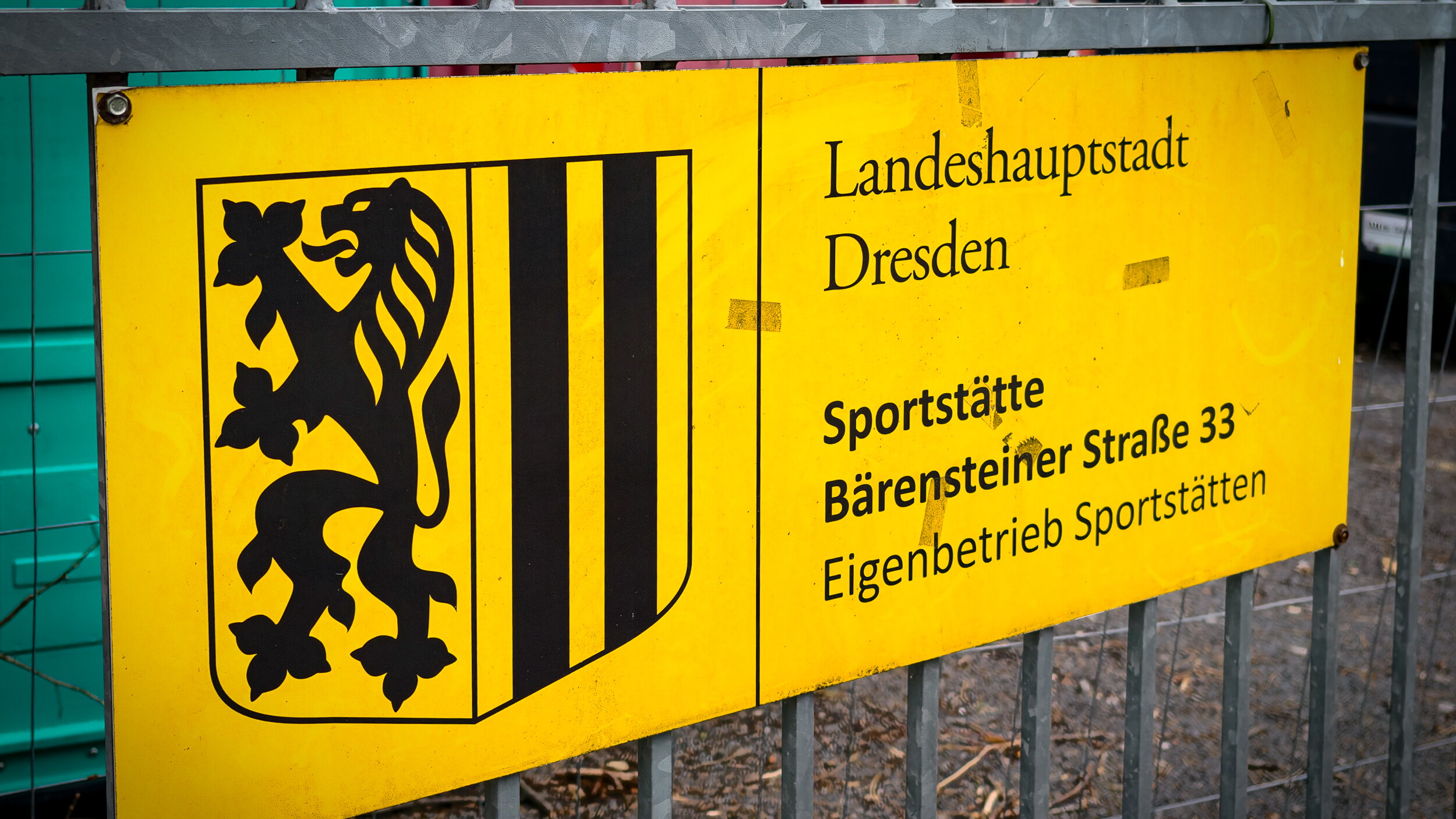Soccer for Kids Dresden
