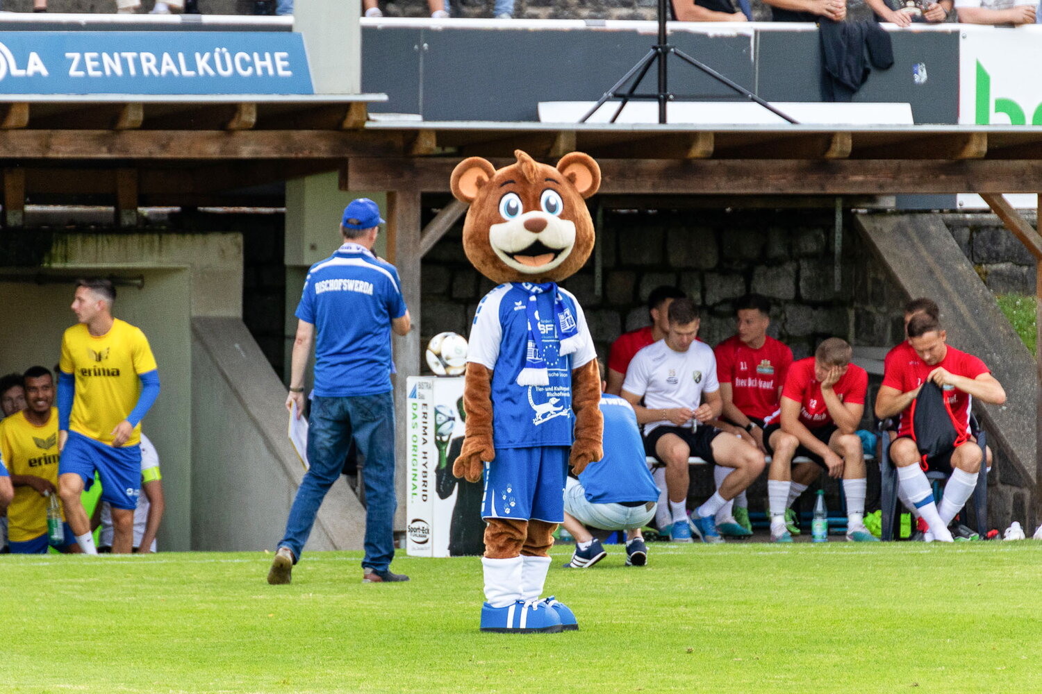Bischofswerdaer FV 08 – SC Freital – Bild 1