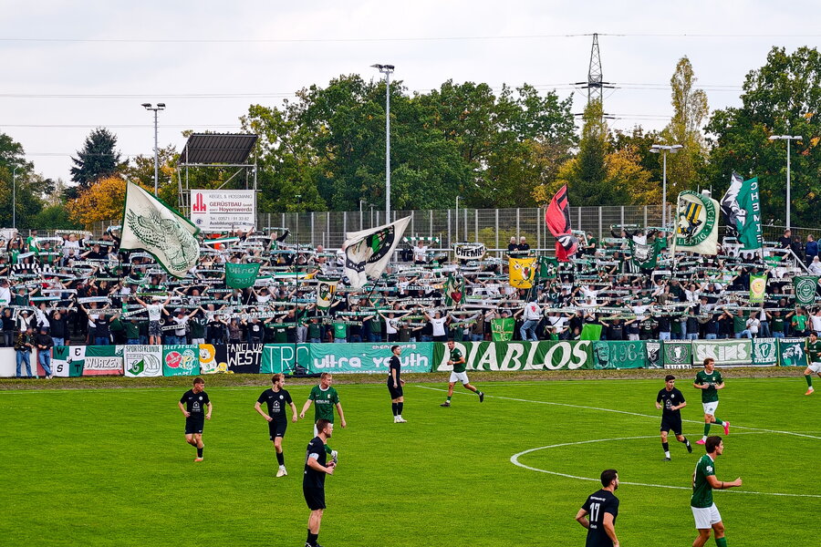 Hoyerswerdaer FC – BSG Chemie Leipzig – Bild 8