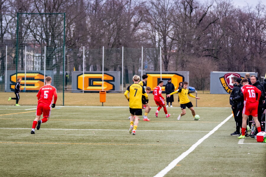 SG Dynamo Dresden U19 – Hallescher FC U19 – Bild 12