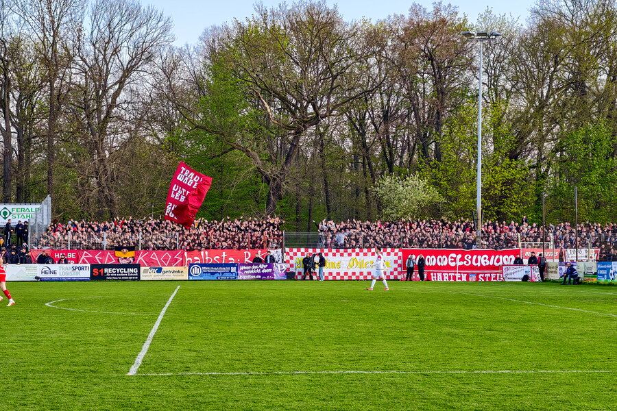 BSG Stahl Riesa – FSV Zwickau – Bild 6
