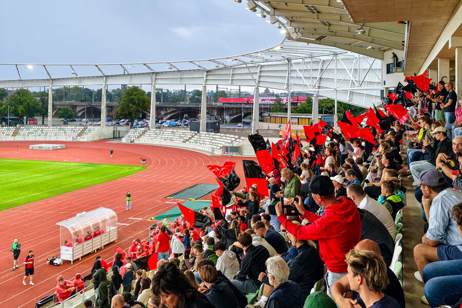 Dresdner SC – Chemnitzer FC – Bild 7