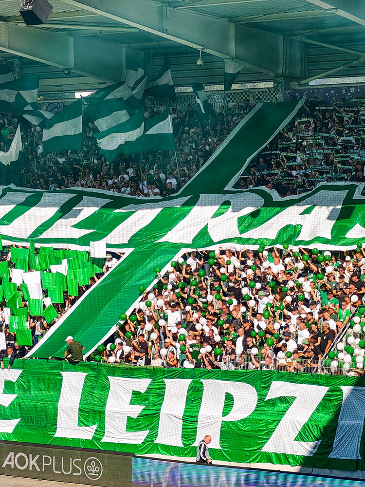 FC Erzgebirge Aue – BSG Chemie Leipzig – Bild 13