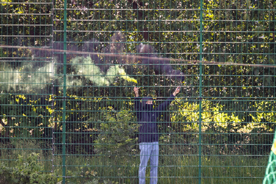 BSC Freiberg – BSG Stahl Riesa – Bild 3