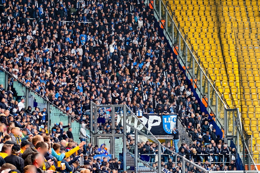 SG Dynamo Dresden – 1. FC Magdeburg – Bild 16