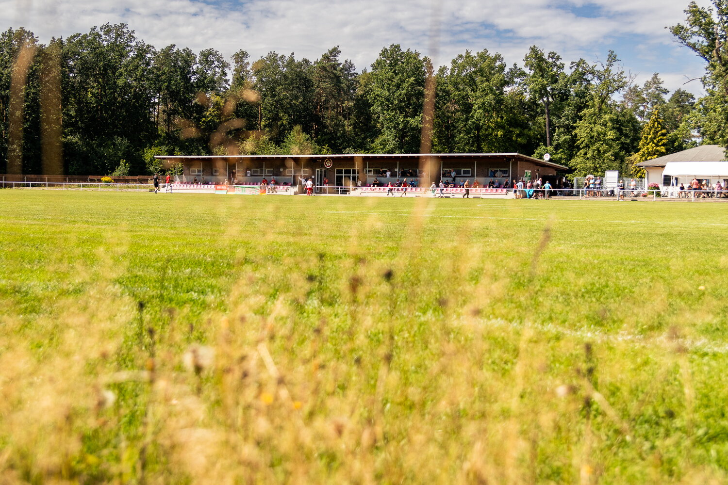 SV Naunhof – FSV Limbach-Oberfrohna – Bild 33