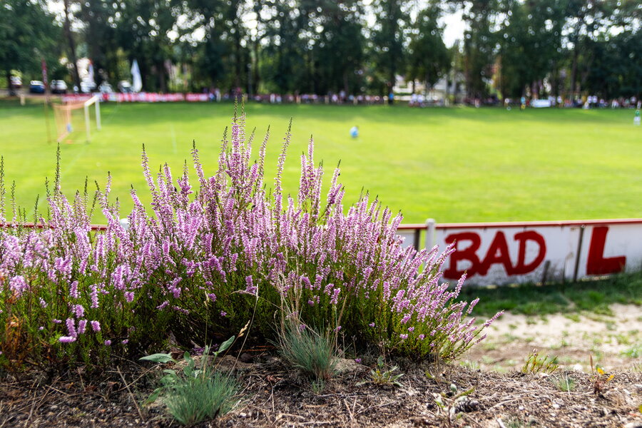 FC Bad Liebenwerda 08 – SV Grün-Weiß Union Bestensee – Bild 32