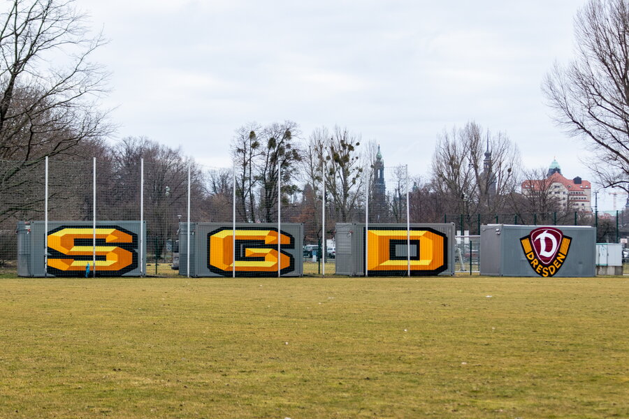 SG Dynamo Dresden U19 – Hallescher FC U19 – Bild 8