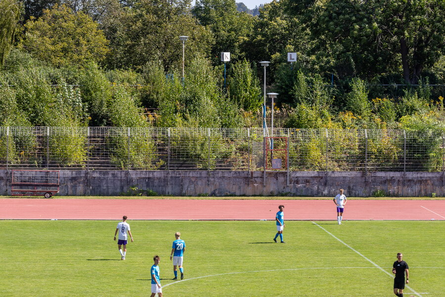 Chemnitzer FC U19 – FC Erzgebirge Aue U19 – Bild 11