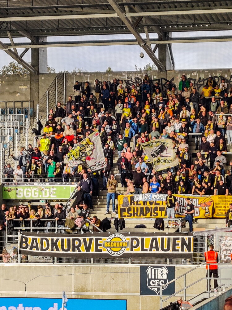 Chemnitzer FC – VFC Plauen – Bild 30