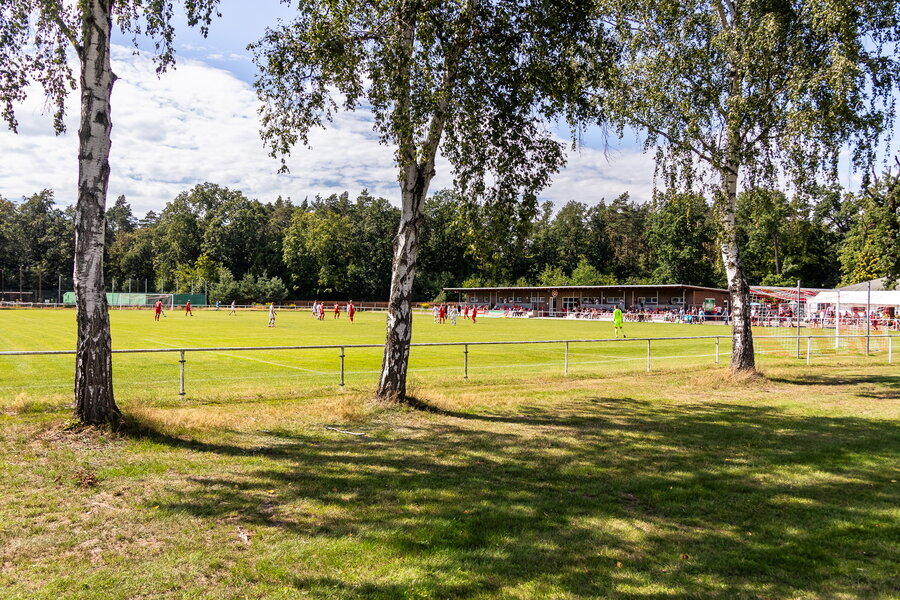 SV Naunhof – FSV Limbach-Oberfrohna – Bild 31