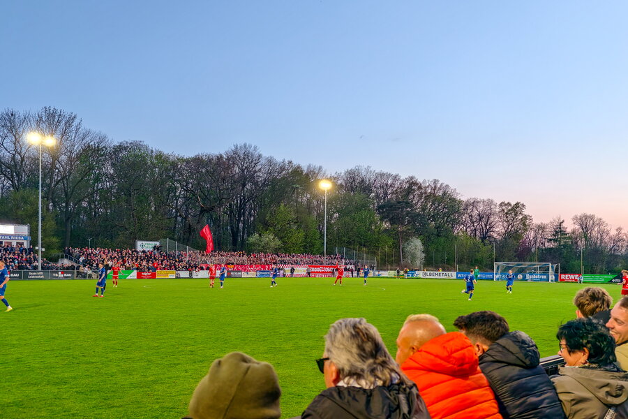 BSG Stahl Riesa – FSV Zwickau – Bild 14