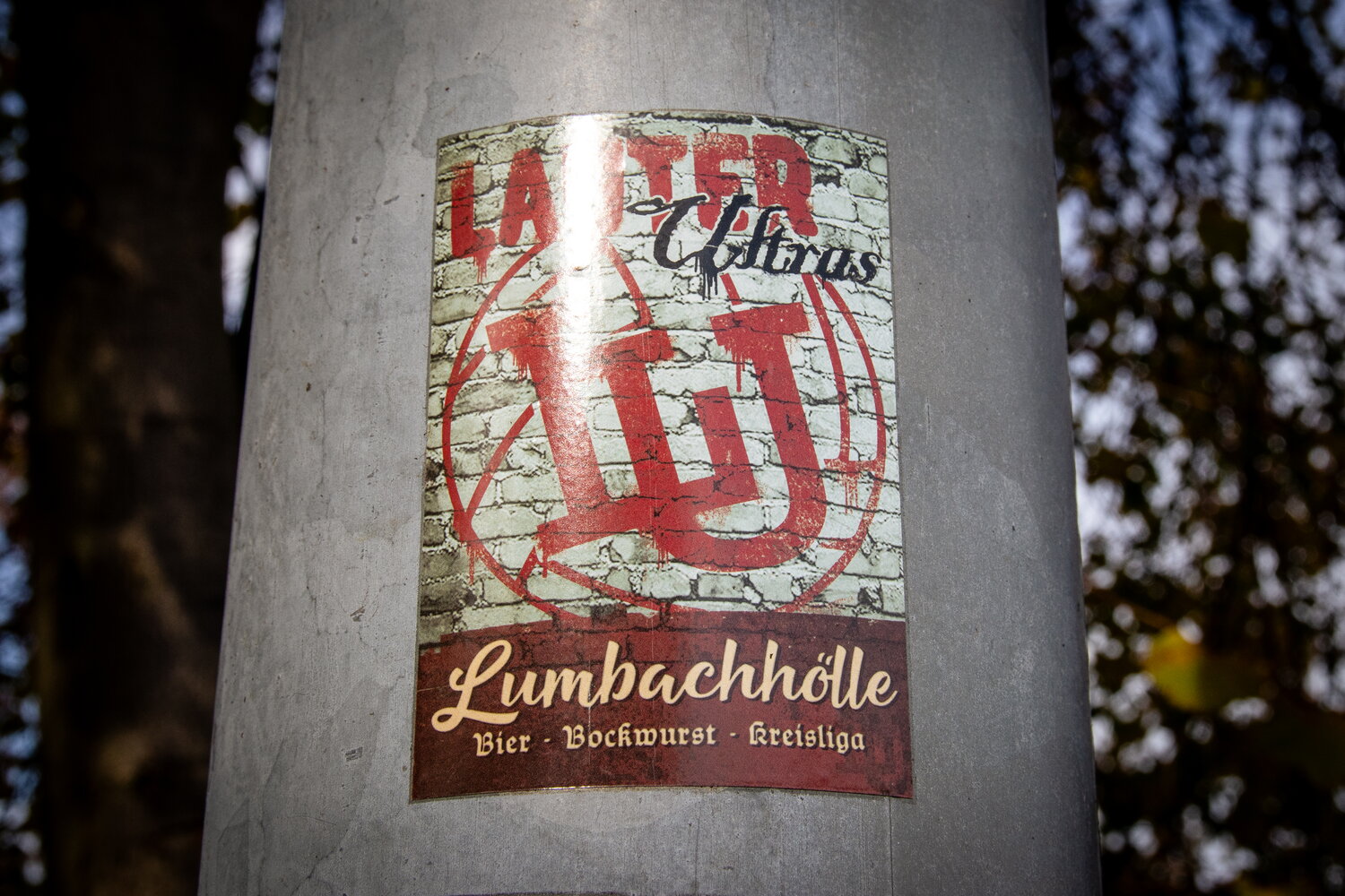 Lauterer SV Viktoria – SV Saxonia Bernsbach – Bild 1