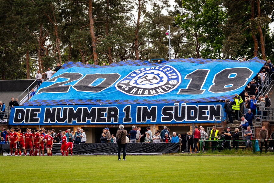 FC Lauchhammer – VfB Hohenleipisch – Bild 2