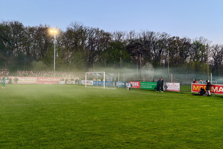 BSG Stahl Riesa – FSV Zwickau – Bild 11