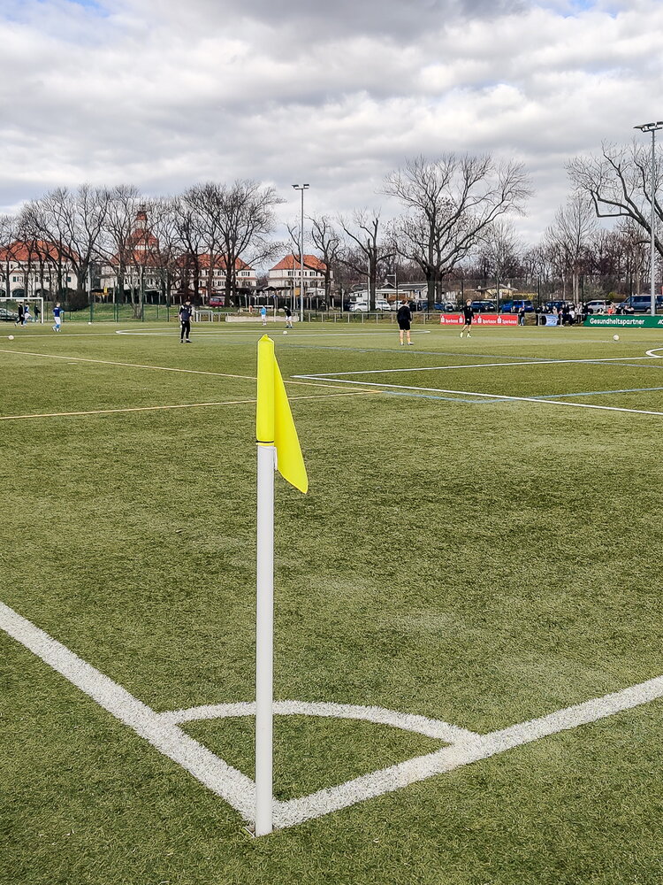 SG Dynamo Dresden U17 – Chemnitzer FC U17 – Bild 5