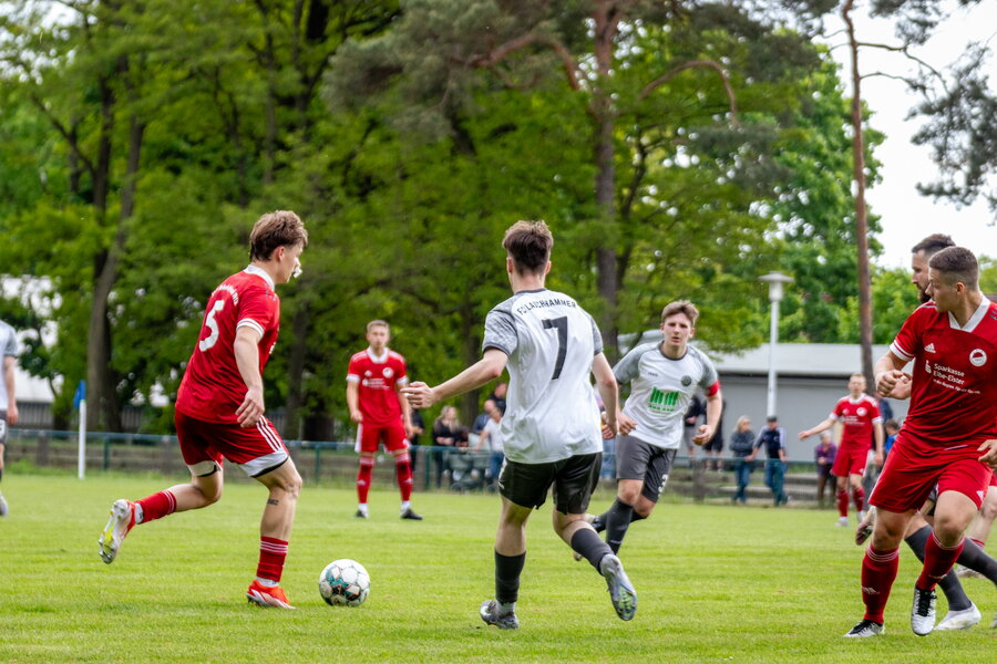 FC Lauchhammer – VfB Hohenleipisch – Bild 7
