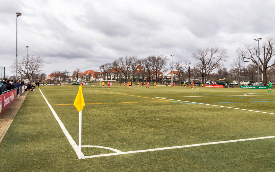 SG Dynamo Dresden U19 – Hallescher FC U19