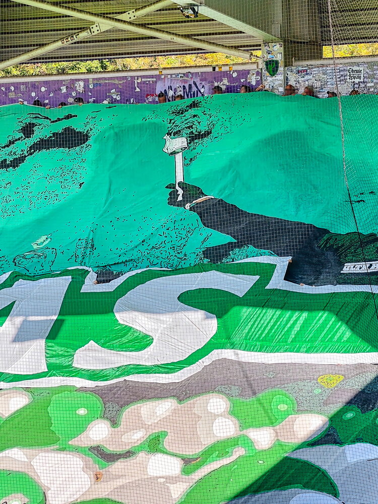 FC Erzgebirge Aue – BSG Chemie Leipzig – Bild 14
