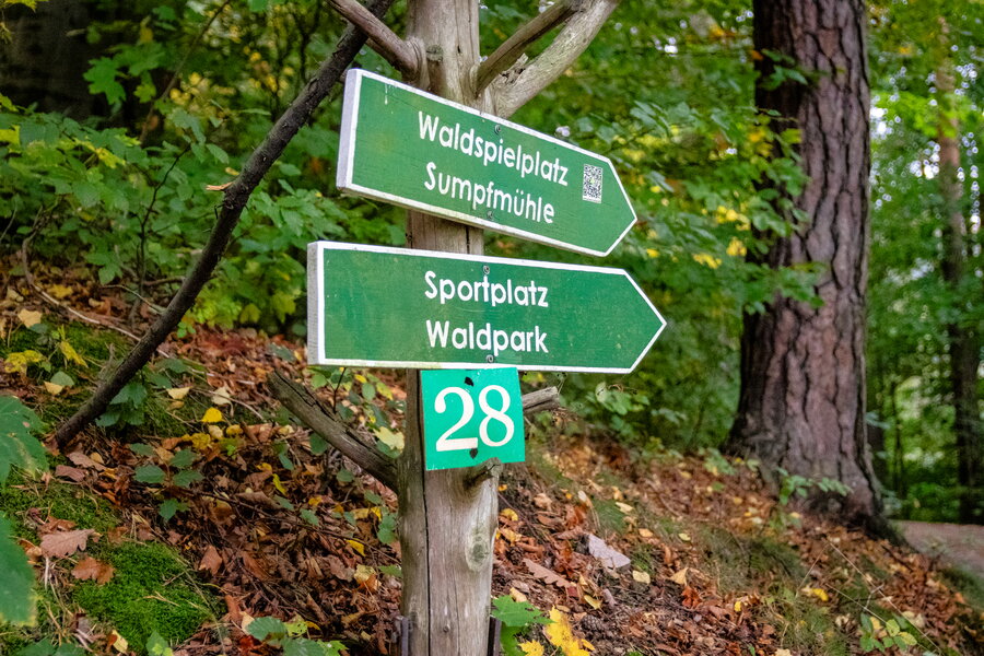 Hetzdorfer SV – SG Dittmannsdorf – Bild 31