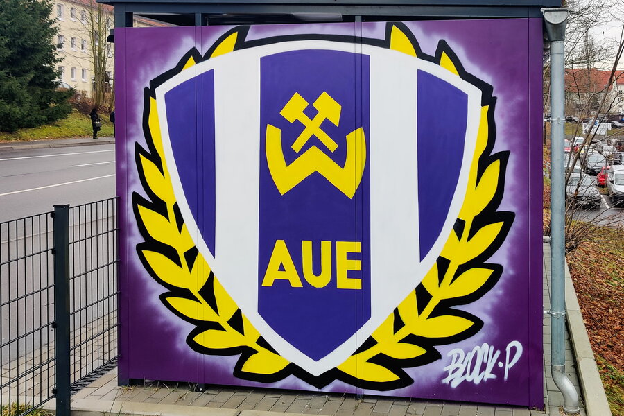 FC Erzgebirge Aue – 1. FC Schweinfurt 05 – Bild 2