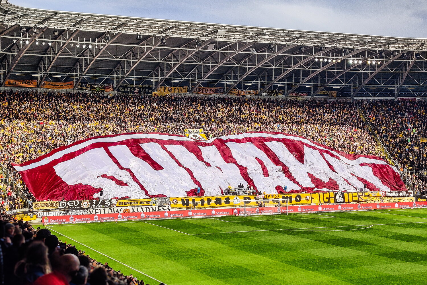 SG Dynamo Dresden – SSV Ulm 1846 – Bild 1