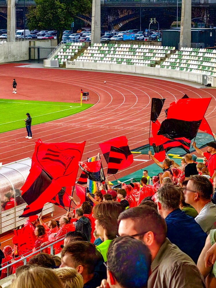 Dresdner SC – Chemnitzer FC – Bild 14
