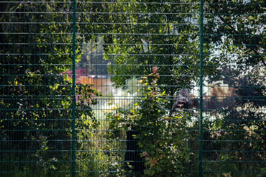 BSC Freiberg – BSG Stahl Riesa – Bild 11