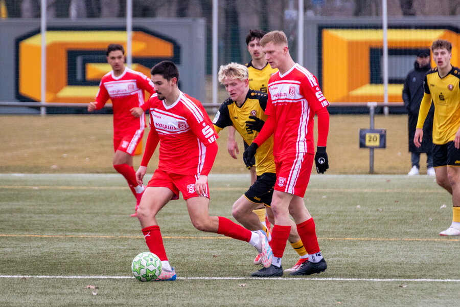 SG Dynamo Dresden U19 – Hallescher FC U19 – Bild 13