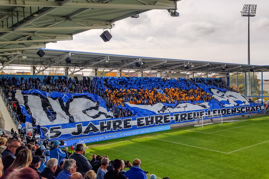 Chemnitzer FC – VFC Plauen – Bild 6