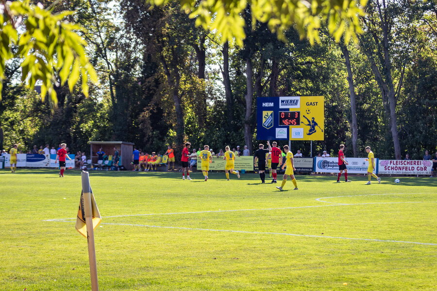 SV Panitzsch/Borsdorf – Dresdner SC – Bild 26