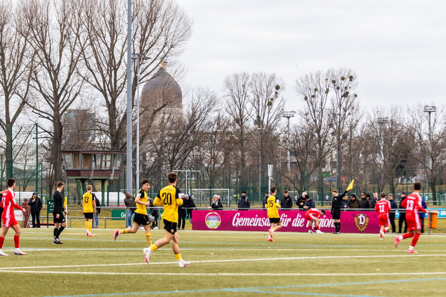 SG Dynamo Dresden U19 – Hallescher FC U19 – Bild 10