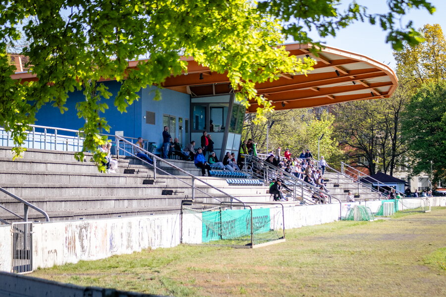 Hoyerswerdaer FC – SV Wesenitztal 03 – Bild 13