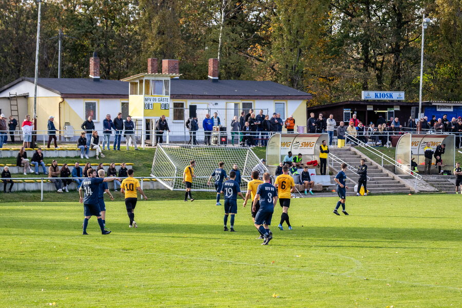 NFV Gelb-Weiß Görlitz 09 – Holtendorfer SV – Bild 10