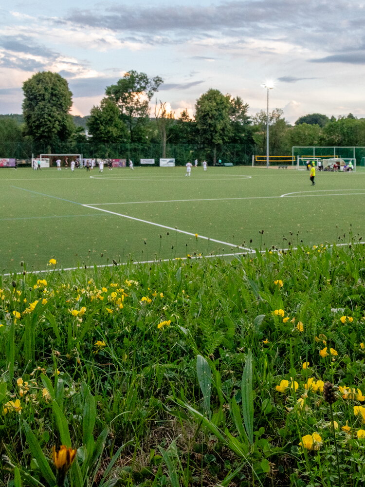 SG Wurgwitz – Post SV Dresden – Bild 14