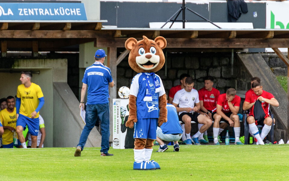 Bischofswerdaer FV 08 – SC Freital