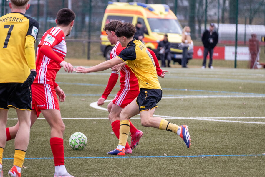 SG Dynamo Dresden U19 – Hallescher FC U19 – Bild 11