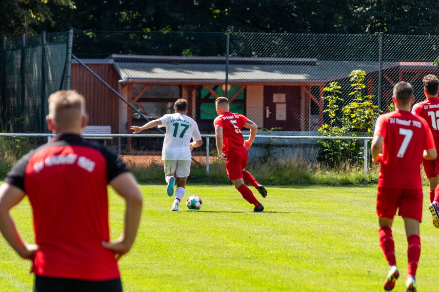 SV Naunhof – FSV Limbach-Oberfrohna – Bild 36