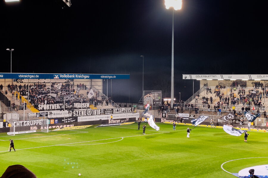 SV Sandhausen – SV Wehen Wiesbaden – Bild 4