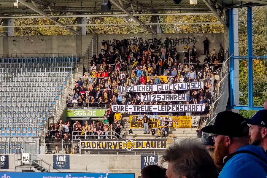 Chemnitzer FC – VFC Plauen – Bild 28