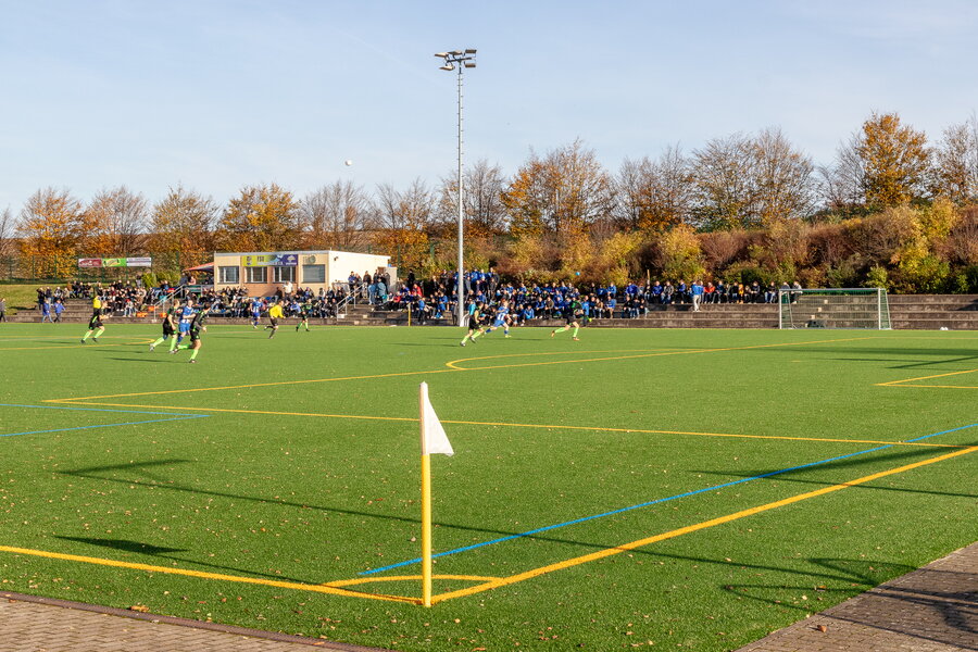 TSV Seifersdorf – Höckendorfer FV – Bild 6