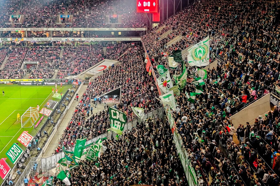 1. FC Köln – SV Werder Bremen – Bild 10