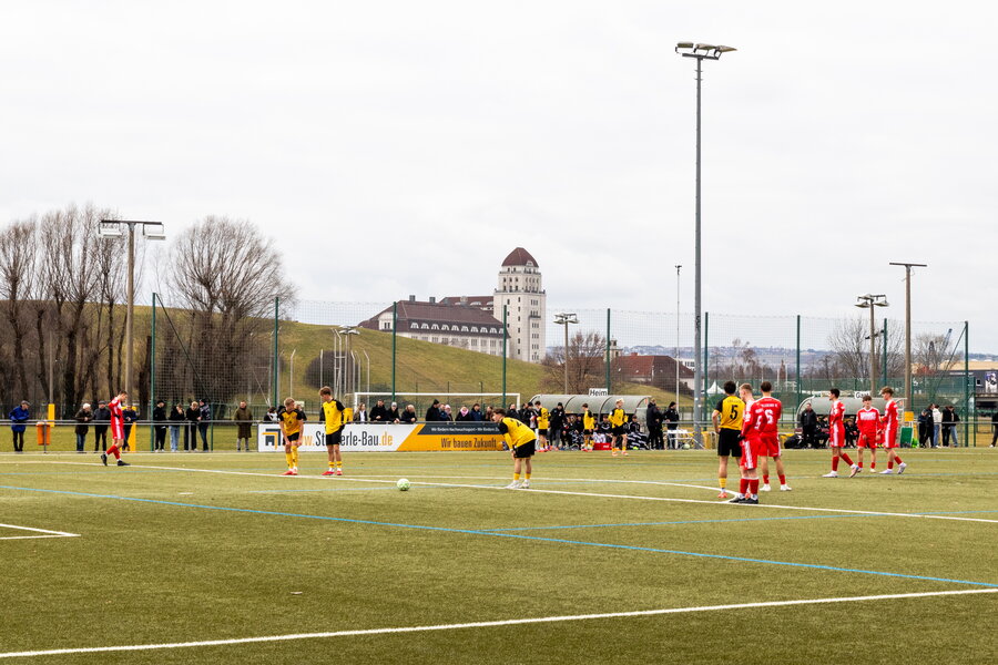 SG Dynamo Dresden U19 – Hallescher FC U19 – Bild 3