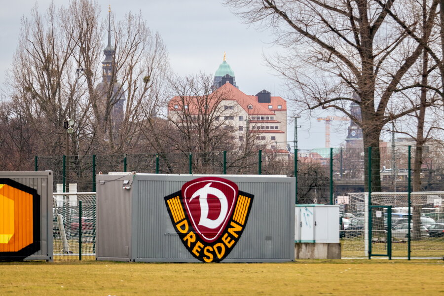 SG Dynamo Dresden U19 – Hallescher FC U19 – Bild 7